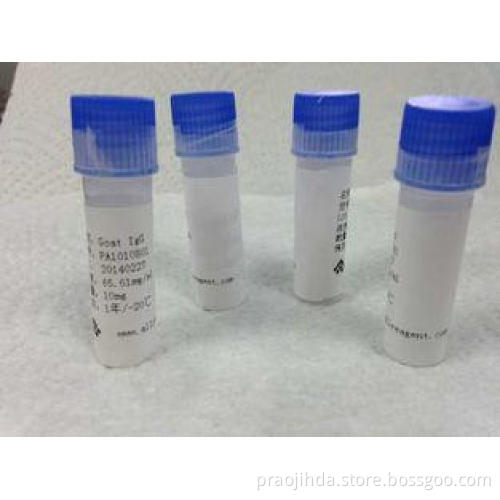 Mouse anti - Human RBC Mab-1 Hybridoma Monoclonal Antibodie